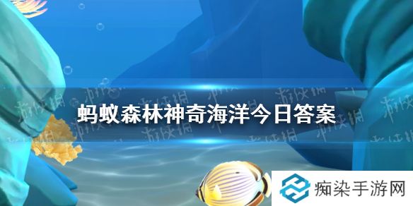 死海是真正的海洋吗 神奇海洋4月1日答案