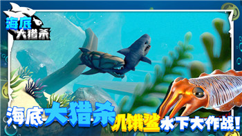 金铲铲之战怎么打最容易赢的，掌握这些关键策略让你立于不败之地